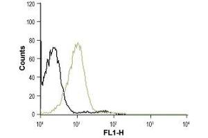 Flow Cytometry (FACS) image for anti-Chemokine (C-X-C Motif) Receptor 4 (CXCR4) (AA 2-15), (Extracellular) antibody (Atto 488) (ABIN7043041)