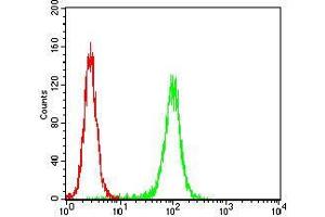 Flow Cytometry (FACS) image for anti-Eukaryotic Translation Initiation Factor 5A (EIF5A) (AA 1-154) antibody (ABIN5542611)