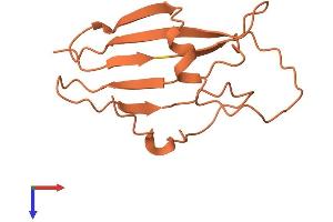 AlphaFold protein structure predicition of Human Recombinant FAM223A Protein, UniprotID Q8IWN6