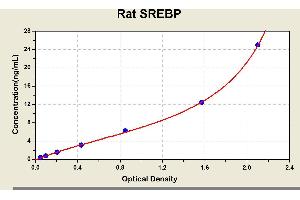 Diagramm of the ELISA kit to detect Rat SREBPwith the optical density on the x-axis and the concentration on the y-axis. (Sterol Regulatory Element Binding Proteins ELISA 试剂盒)