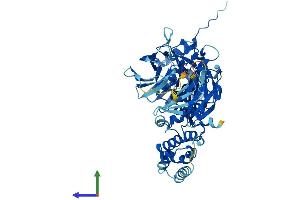 Protein Structure (PS) image for Calicin (CCIN) (AA 1-588) protein (His tag) (ABIN7559261)