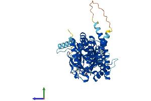 Protein Structure (PS) image for Fat Mass and Obesity-Associated (FTO) (AA 1-505) protein (His tag) (ABIN7553968)