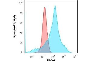 Flow Cytometric Analysis of K562 cells using LMO2 Mouse Monoclonal Antibody (LMO2/1971) followed by goat anti-Mouse IgG-CF488 (Blue); Isotype Control (Red) (LMO2 抗体  (AA 23-140))