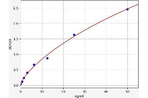 Typical standard curve (Retinoid X Receptor beta ELISA 试剂盒)