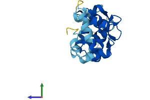 AlphaFold protein structure predicition of Mouse Recombinant Cib4 Protein, UniprotID Q9D9N5