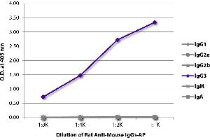 ELISA plate was coated with purified mouse IgG1, IgG2a, IgG2b, IgG3, IgM, and IgA. (大鼠 anti-小鼠 IgG3 Antibody (Alkaline Phosphatase (AP)))