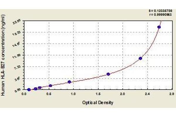 HLA-B27 ELISA 试剂盒