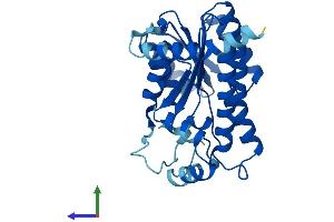 AlphaFold protein structure predicition of Human Recombinant DHRS3 Protein, UniprotID O75911