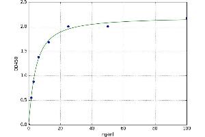A typical standard curve
