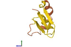 AlphaFold protein structure predicition of Human Recombinant LINC00310 Protein, UniprotID P59036