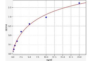 Tyrosine Hydroxylase (TH) ELISA Kit