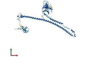 Protein Structure (PS) image for Tripartite Motif Containing 27 (TRIM27) (AA 1-513) protein (His tag) (ABIN7555820)