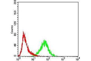 Flow Cytometry (FACS) image for anti-Karyopherin alpha 2 (RAG Cohort 1, Importin alpha 1) (KPNA2) (AA 1-530) antibody (ABIN5542626)