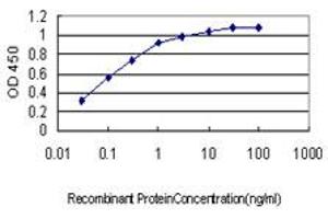 Detection limit for recombinant GST tagged HYOU1 is approximately 0. (HYOU1 抗体  (AA 901-999))