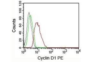 FACS testing of MCF-7 cells: Black=cells alone; Green=isotype control; Red=Cyclin D1 antibody PE conjugate (V2006PE) (Cyclin D1 抗体)