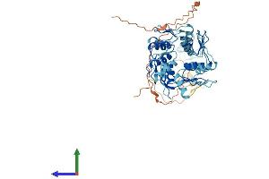 Protein Structure (PS) image for Zinc Finger Protein 83 (ZNF83) (AA 1-516) protein (His tag) (ABIN7545415)