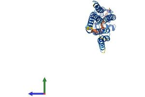 AlphaFold protein structure predicition of Mouse Recombinant Plpp2 Protein, UniprotID Q9DAX2 (PPAP2C Protein (AA 1-276) (His tag))