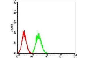 Flow cytometric analysis of Hela cells using BUB1 mouse mAb (green) and negative control (red).