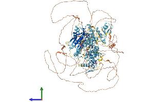 Protein Structure (PS) image for Pogo Transposable Element with ZNF Domain (POGZ) (AA 1-1409) protein (His tag) (ABIN7564475)