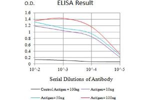 Black line: Control Antigen (100 ng),Purple line: Antigen (10 ng), Blue line: Antigen (50 ng), Red line:Antigen (100 ng) (CD79b 抗体  (AA 30-160))