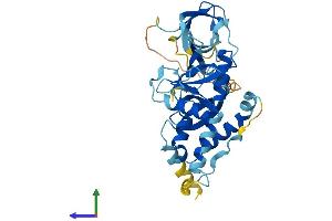 Protein Structure (PS) image for Neutrophil Cytosolic Factor 4, 40kDa (NCF4) (AA 1-339) protein (His tag) (ABIN7549637)