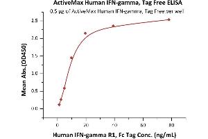Immobilized Human , Tag Free (ABIN2181249,ABIN2693593) at 5 μg/mL (100 μL/well) can bind Human  R1, Fc Tag (ABIN2181259,ABIN2181258) with a linear range of 1-10 ng/mL (QC tested). (Interferon gamma Protein (IFNG) (AA 24-166))