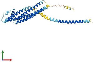 Protein Structure (PS) image for Syntaxin 1B (STX1B) (AA 1-288) protein (His tag) (ABIN7556580)