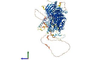 Protein Structure (PS) image for Regulatory Associated Protein of mTOR, Complex 1 (RPTOR) (AA 1-1335) protein (His tag) (ABIN7564678)