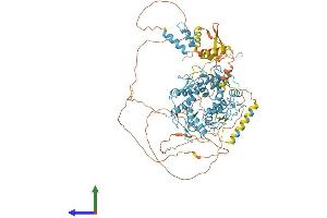 Protein Structure (PS) image for Zinc Finger and BTB Domain Containing 17 (ZBTB17) (AA 1-803) protein (His tag) (ABIN7556107)