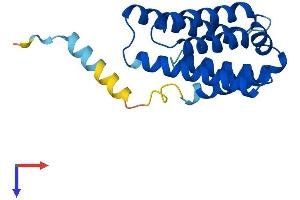 TNFAIP8L2 Protein (AA 1-184) (His tag)