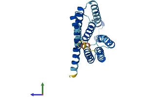 Protein Structure (PS) image for Solute Carrier Family 50 (Sugar Transporter), Member 1 (RAG1AP1) (AA 1-221) protein (His tag) (ABIN7546486)