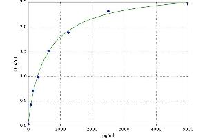 Chemokine (C-C Motif) Receptor 4 (CCR4) ELISA Kit