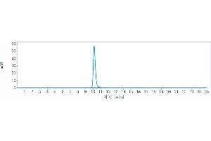 The purity of Anti-KIR3DL2 / CD158k Reference Antibody (lacutamab) is 99 % , determined by SEC-HPLC.