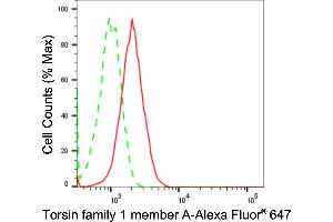 Flow cytometric analysis of Torsin family 1 member A expression in HT- cells using Torsin family 1 member A antibody (ABIN7800575), 1:2,000). (Recombinant TOR1A 抗体)