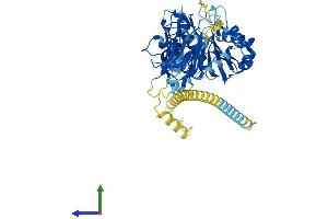 Protein Structure (PS) image for Mannosyl (Alpha-1,3-)-Glycoprotein beta-1,4-N-Acetylglucosaminyltransferase, Isozyme A (MGAT4A) (AA 1-535) protein (His tag) (ABIN7558490)
