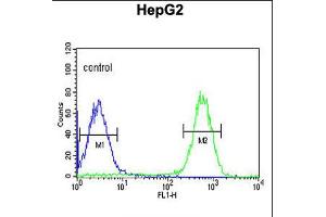 Flow cytometric analysis of HepG2 cells (right histogram) compared to a negative control cell (left histogram). (Tescalcin 抗体  (C-Term))