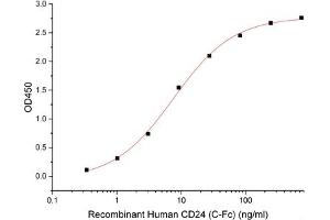 ELISA image for CD24 Molecule (CD24) (Active) protein (Fc Tag) (ABIN7319865)