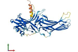Protein Structure (PS) image for Arrestin 3, Retinal (X-Arrestin) (ARR3) (AA 1-388) protein (His tag) (ABIN7552468)