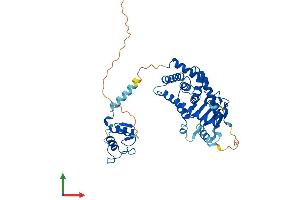 AlphaFold protein structure predicition of Human Recombinant NR1I2 Protein, UniprotID O75469