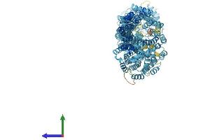 AlphaFold protein structure predicition of Human Recombinant TTC21B Protein, UniprotID Q7Z4L5 (TTC21B Protein (AA 1-1316) (His tag))