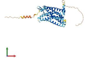 Protein Structure (PS) image for Chemokine (C-C Motif) Receptor 4 (CCR4) (AA 1-360) protein (His tag) (ABIN7563392)