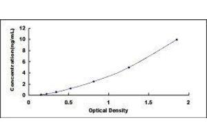 ELISA image for Chemokine (C-X-C Motif) Receptor 3 (CXCR3) ELISA Kit (ABIN414422)