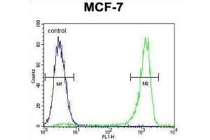 Flow Cytometry (FACS) image for anti-Vascular Endothelial Growth Factor C (VEGFC) antibody (ABIN2996454) (VEGFC 抗体)