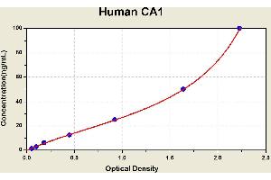 Diagramm of the ELISA kit to detect Human CA1with the optical density on the x-axis and the concentration on the y-axis. (CA1 ELISA 试剂盒)