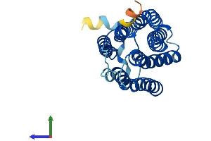 AlphaFold protein structure predicition of Human Recombinant MMD Protein, UniprotID Q15546
