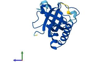 Protein Structure (PS) image for Riboflavin Kinase (RFK) (AA 1-155) protein (His tag) (ABIN7551340)