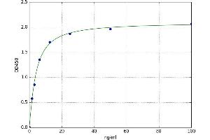 A typical standard curve
