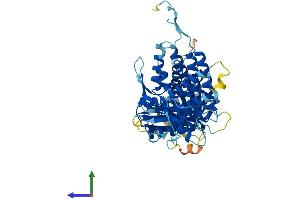 Protein Structure (PS) image for McKusick-Kaufman Syndrome (MKKS) (AA 1-570) protein (His tag) (ABIN7561534)