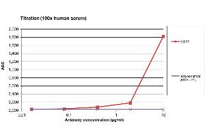 ELISA detection of IgG in human serum using HRP conjugated EM-07 antibody against IgG Fc fragment. (小鼠 anti-人 IgG Fc (Fc Region) Antibody (HRP))