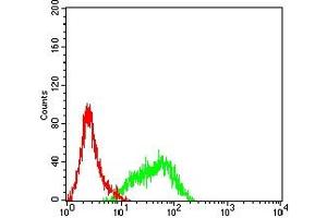 Flow cytometric analysis of Hela cells using CD155 mouse mAb (green) and negative control (red). (Poliovirus Receptor 抗体  (AA 21-343))